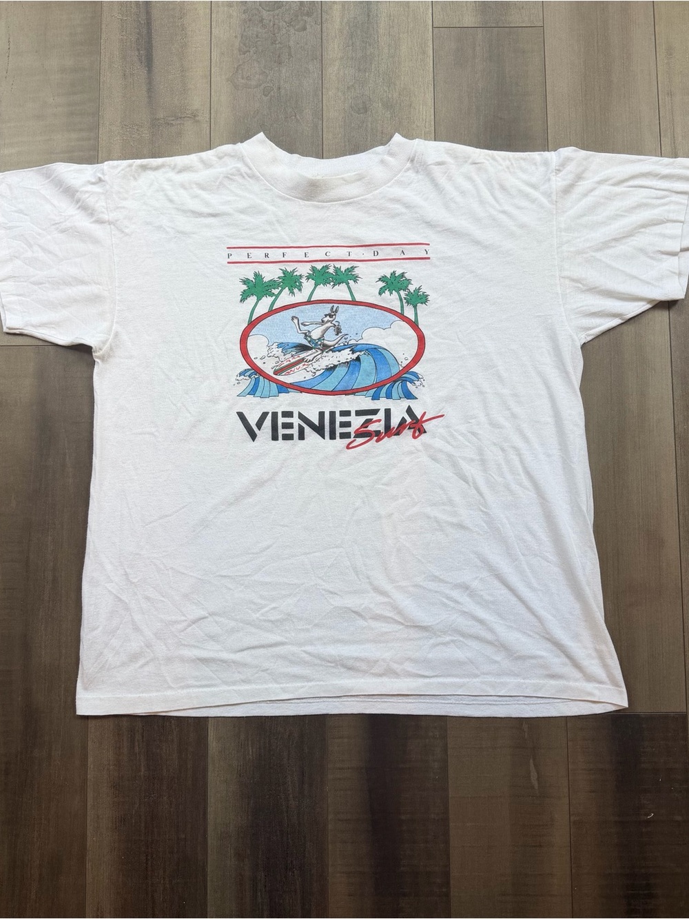 Vintage 80's Venezia Surfwear Perfect Day Tourist Graphic T-shirt M White House